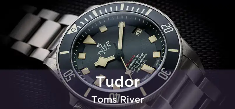 Tudor Toms River